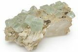 Green, Cubic Fluorite Crystals on Calcite - Morocco #219279-1